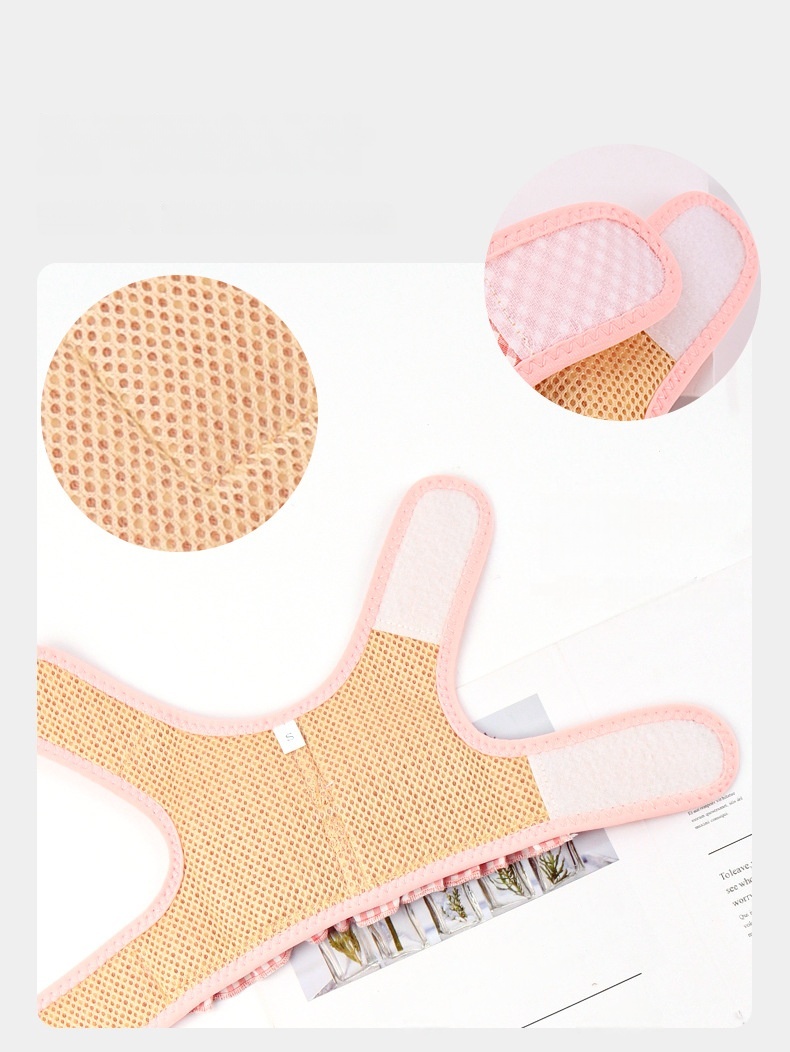 Pink Gingham Dog Harness with Strawberry Detail and Matching Leash